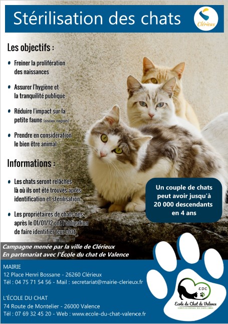 2021-05-03 stérilisation des chats